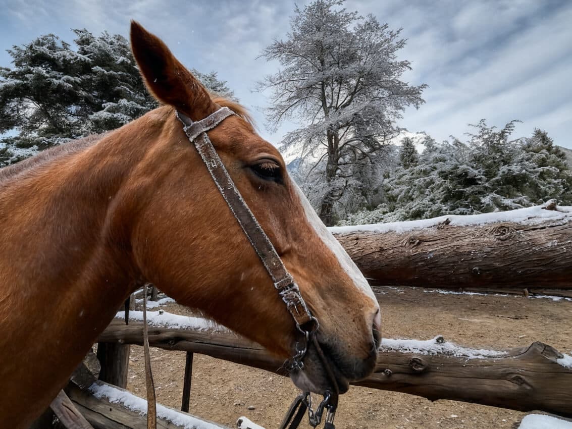 Cabalgata por el Cerro López