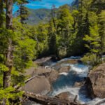 Puerto Blest y Cascada Los Cántaros desde Puerto Pañuelo (sin traslado)