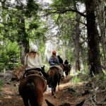 Cabalgata con vista al Cerro López - Aventura entre bosques y miradores del Circuito Chico