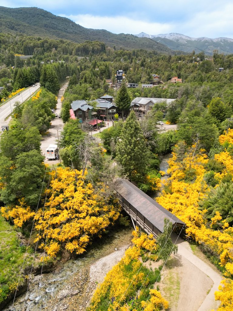 cir4 Circuito Grande: descubrí la Ruta de los Lagos y la magia cordillerana - Imagen 1