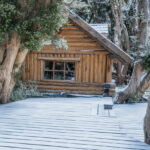 Navegación por Nahuel Huapi: Isla Victoria y Bosque de Arrayanes sin traslado